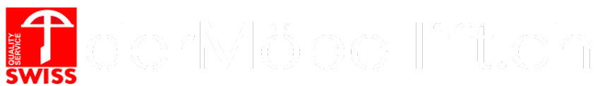 Möbellift mieten BUCHER DIE PROFIS Logo